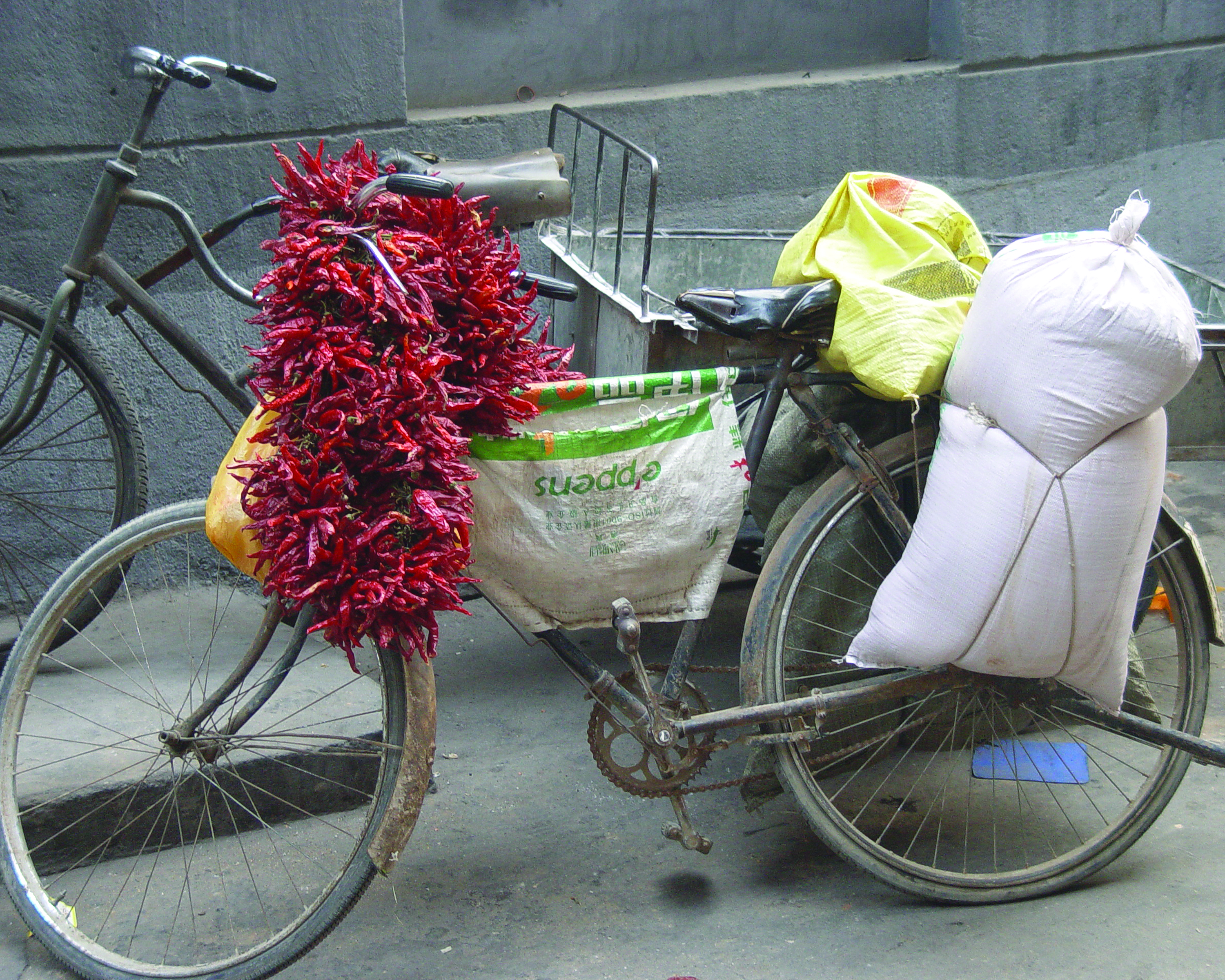 Xi'an Bike Peppers 8 x 10