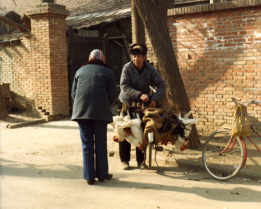 ChickenVendor 8 x 10